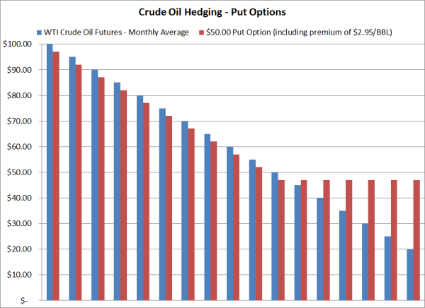 hedging with put options