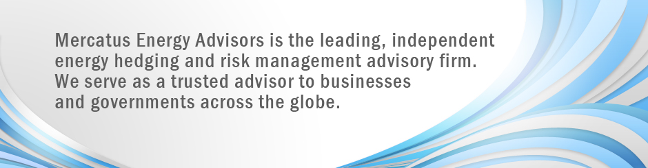 Fuel Hedging Consultants